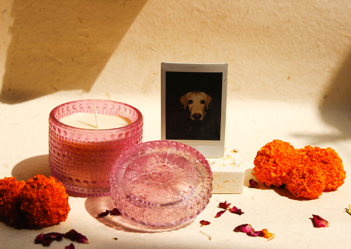 1_a6281f43-6315-4f8b-8b94-45c6ceb2e6ff-4x