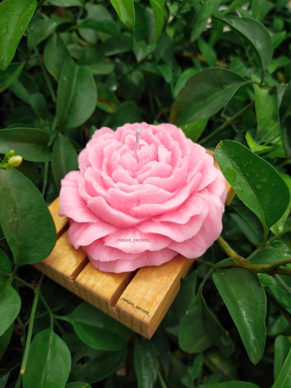 img20230809113752_23b86449-bf72-4390-a579-d07224f1d918-4x