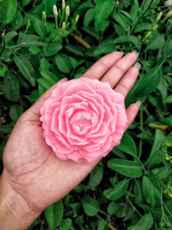 img20230809114546_f1bca6b9-1db5-4c0b-ada3-e90d3f6b2545-4x