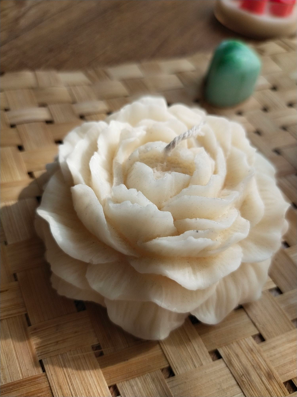 img20231208104250_4a5a9712-b9b1-46e5-92ef-71d48105acc3-4x